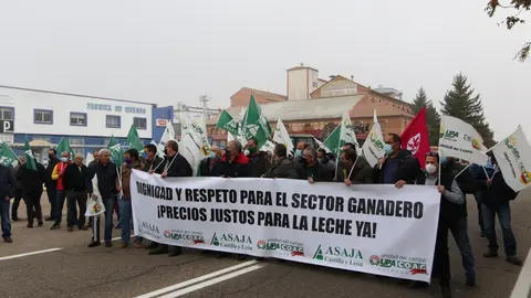 Manifestantes por el precio de la leche y los costes de producción lácteos en la capital. | Foto archivo