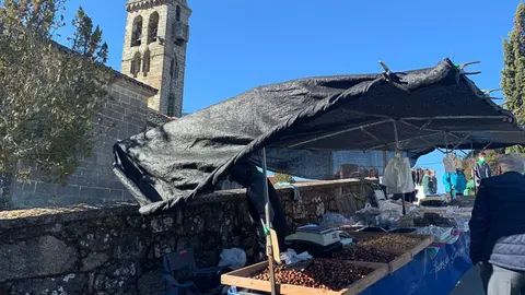 Mercadillo tradicional Mombuey San Martín de Tours