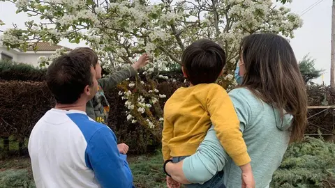 Imagen de archivo Familia