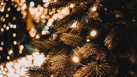 Árbol de Navidad