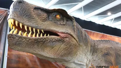 Un dinosaurio en el IFEZA. | FOTO: Marcos Vicente