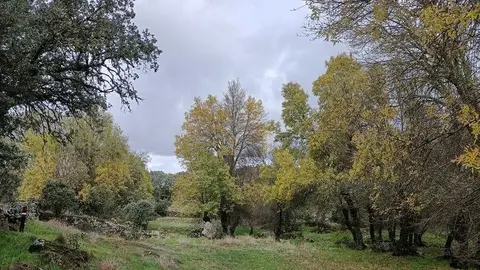 Black Friday en Sayago