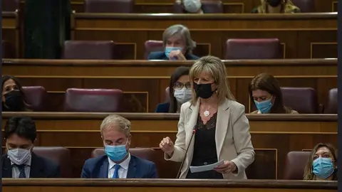 Elvira Velasco en el Pleno del Congreso