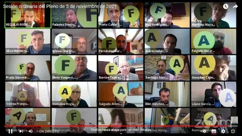 Pleno telemático Diputación de Zamora