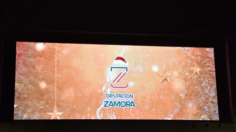 luces navidad zamora (41)