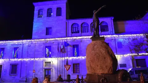 luces navidad zamora (44)