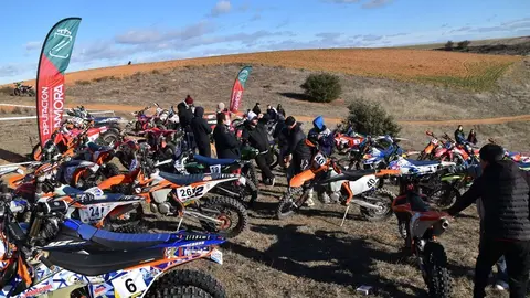 cross country coreses algodre diputación zamora (127)