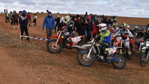 cross country coreses algodre diputación zamora (319)