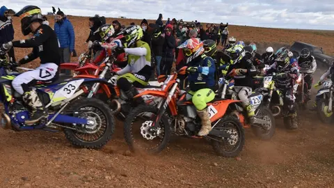 cross country coreses algodre diputación zamora (324)
