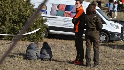 quads Diputación  (518)