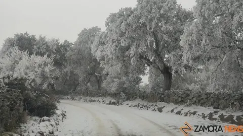 Nieve en una carretera de la provincia