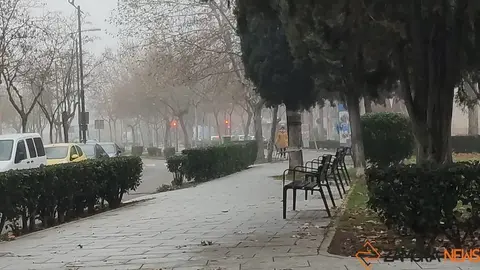 Niebla en Zamora