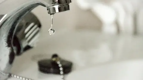 Foto de archivo grifo