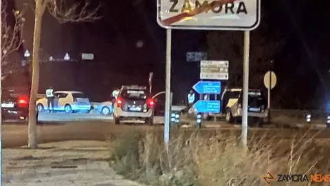 policía y guardia civil controles  (1)