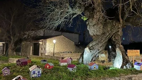 Argusino cerca de Belén