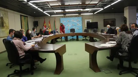 La+delegada+territorial+preside+la+Comisión+Territorial+de+Mejoras