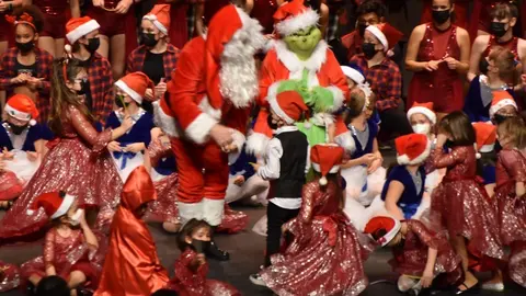 salson navidad  (233)