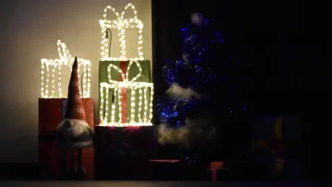 salson navidad (30)