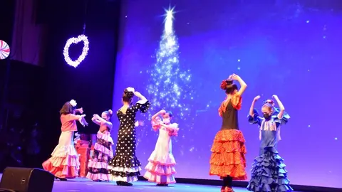 salson navidad (37)