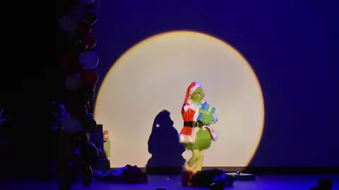 salson navidad (50)