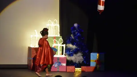 salson navidad (59)