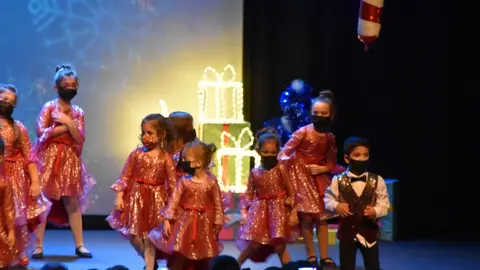 salson navidad (68)