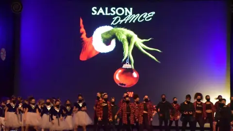 salson navidad (71)