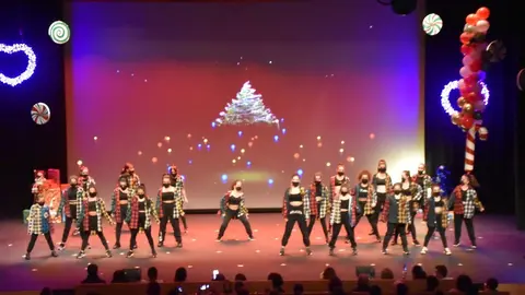 salson navidad (90)