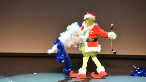 salson navidad (101)