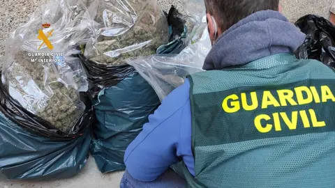 Intervencion marihuana Zamora