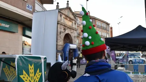 san silvestre Toro  (22)