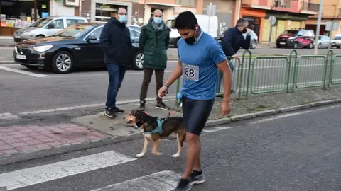 san silvestre Toro  (55)