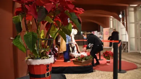 reyes magos toro  (5)