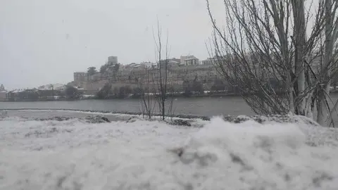 La borrasca Filomena a su paso por Zamora.