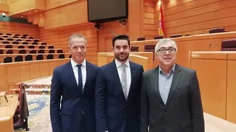 PSOE Zamora. Ánder Gil, Antidio Fagúndez y José Fernández