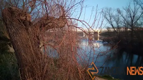 Vista del río Duero