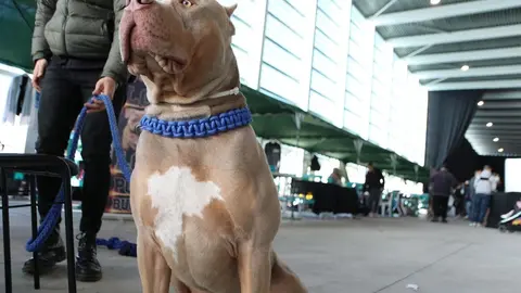 euronationals2022 (36)