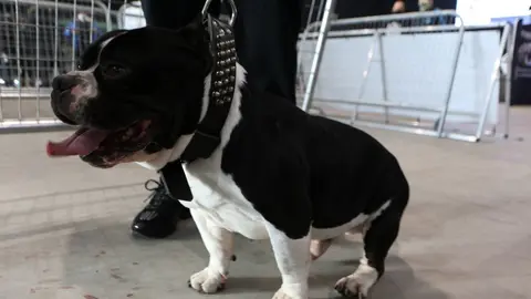 euronationals2022 (2)