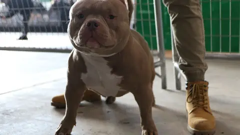 euronationals2022 (4)