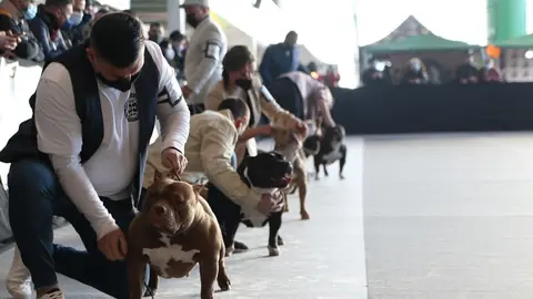 euronationals2022 (8)