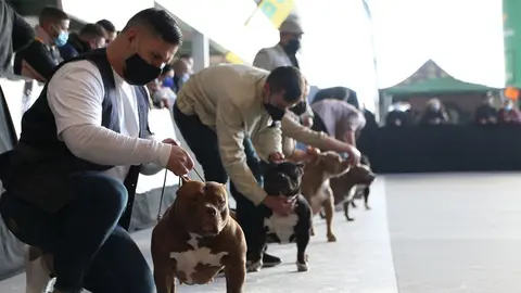 euronationals2022 (9)