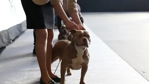 euronationals2022 (10)