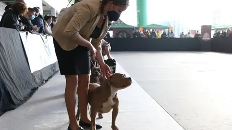 euronationals2022 (11)