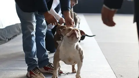 euronationals2022 (14)