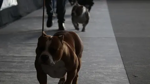 euronationals2022 (16)