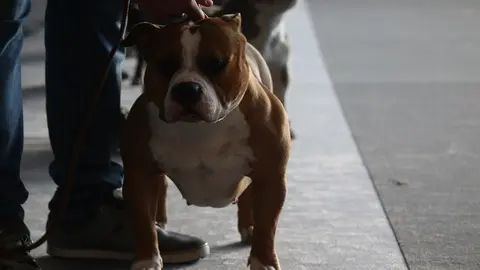 euronationals2022 (17)