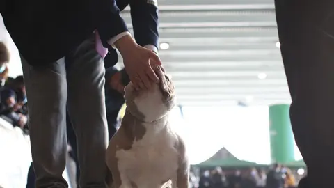 euronationals2022 (18)