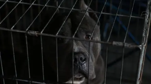 euronationals2022 (20)