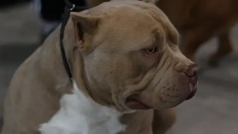 euronationals2022 (21)