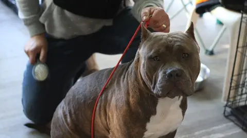 euronationals2022 (22)